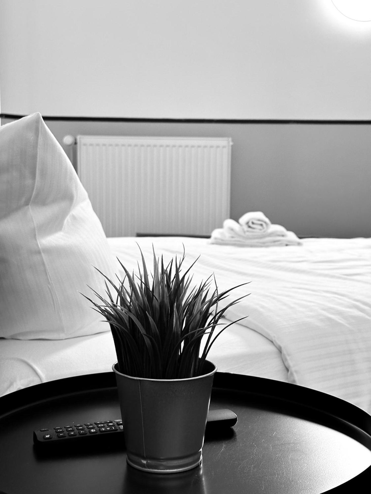 Hotel Alex *